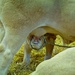 Feeding Time