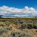 Horse Prairie