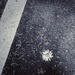 Dropped
