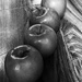 apples in b&w