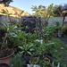 Winter in Brisbane 