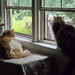A window open kinda day.