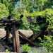 Trestle in color