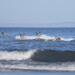 Pelican Skimming the Waves