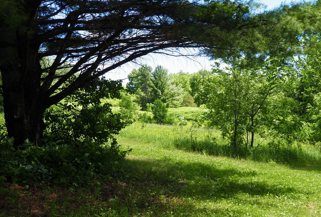 Summer hike by vlc
