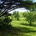 Summer hike