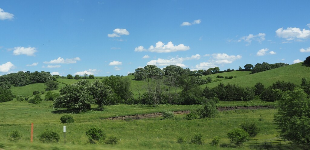 My backyard growing up by vlc
