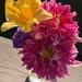 A Pocket full of Summer
