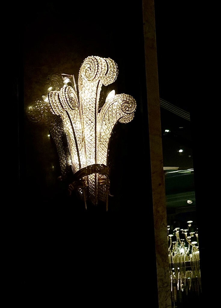 Light.   by cocobella