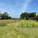 Garden opposite!
