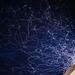 Light frenzy