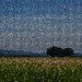 Feeling Pixilated