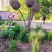 Urban Art 