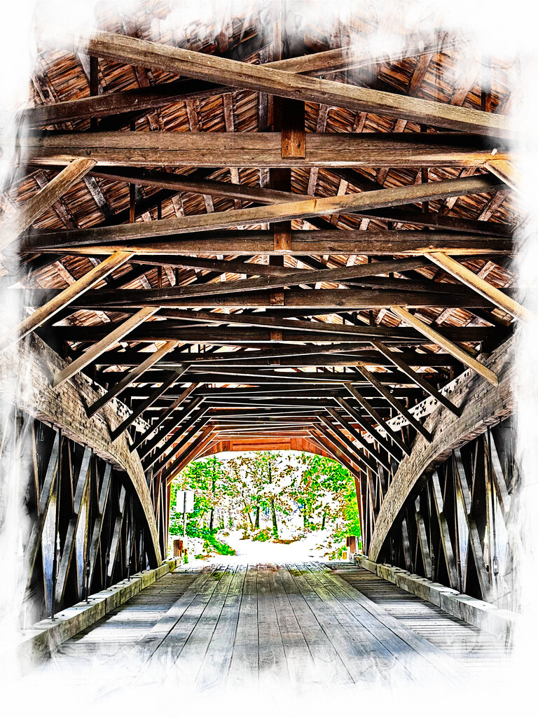 Inside of Hemlock Bridge by joansmor