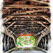Inside of Hemlock Bridge