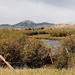 Baldy Peak & Grasshopper Creek