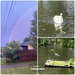 Nature Photography Day 