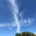 Sky day 15