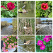 Nature Photography Day